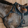 Dyon Chest Buckle 5 points New English with Elastic Black