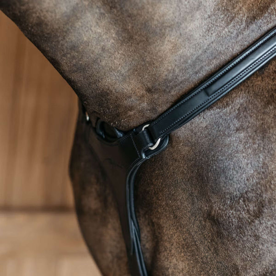 Dyon Chest Buckle 5 points New English with Elastic Black