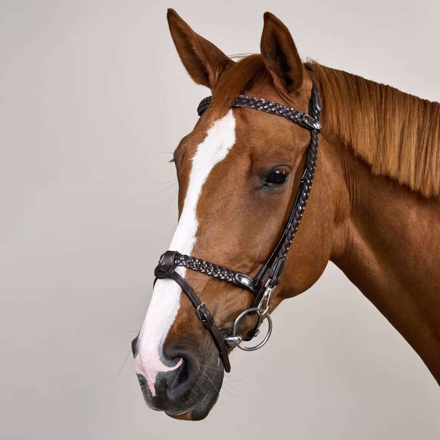 Dyon Bridle Training Brown