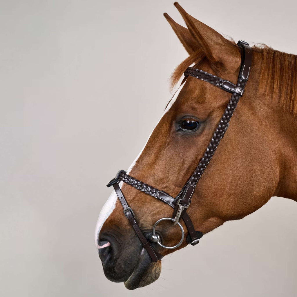 Dyon Bridle Training Brown