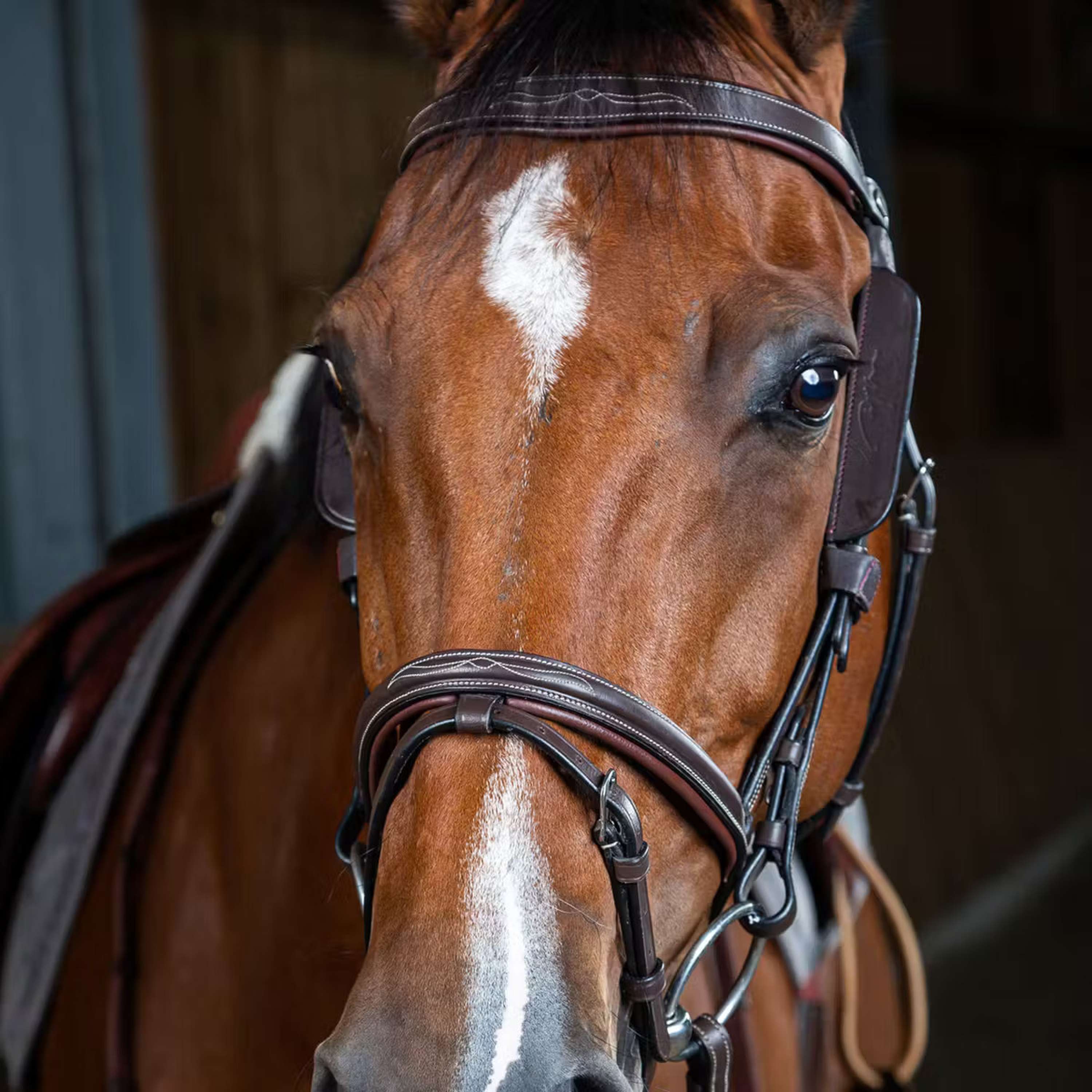 Dyon Blinkers Brown