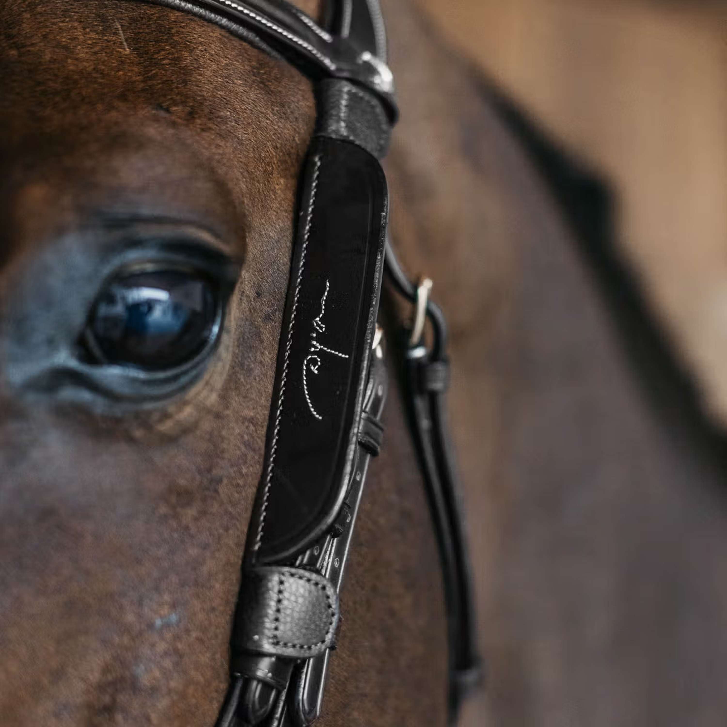 Dyon Blinkers Fancy Black