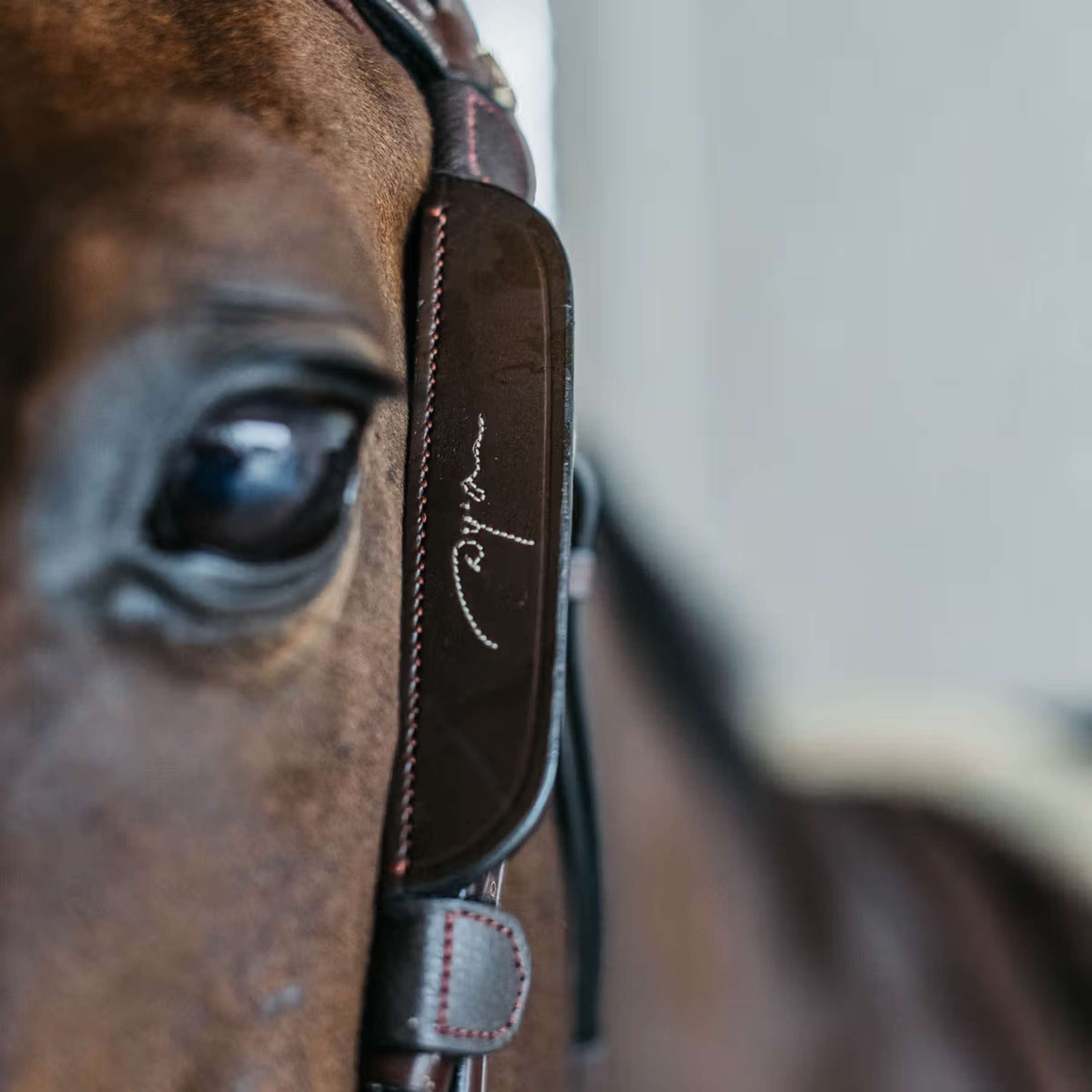 Dyon Blinkers Fancy Brown