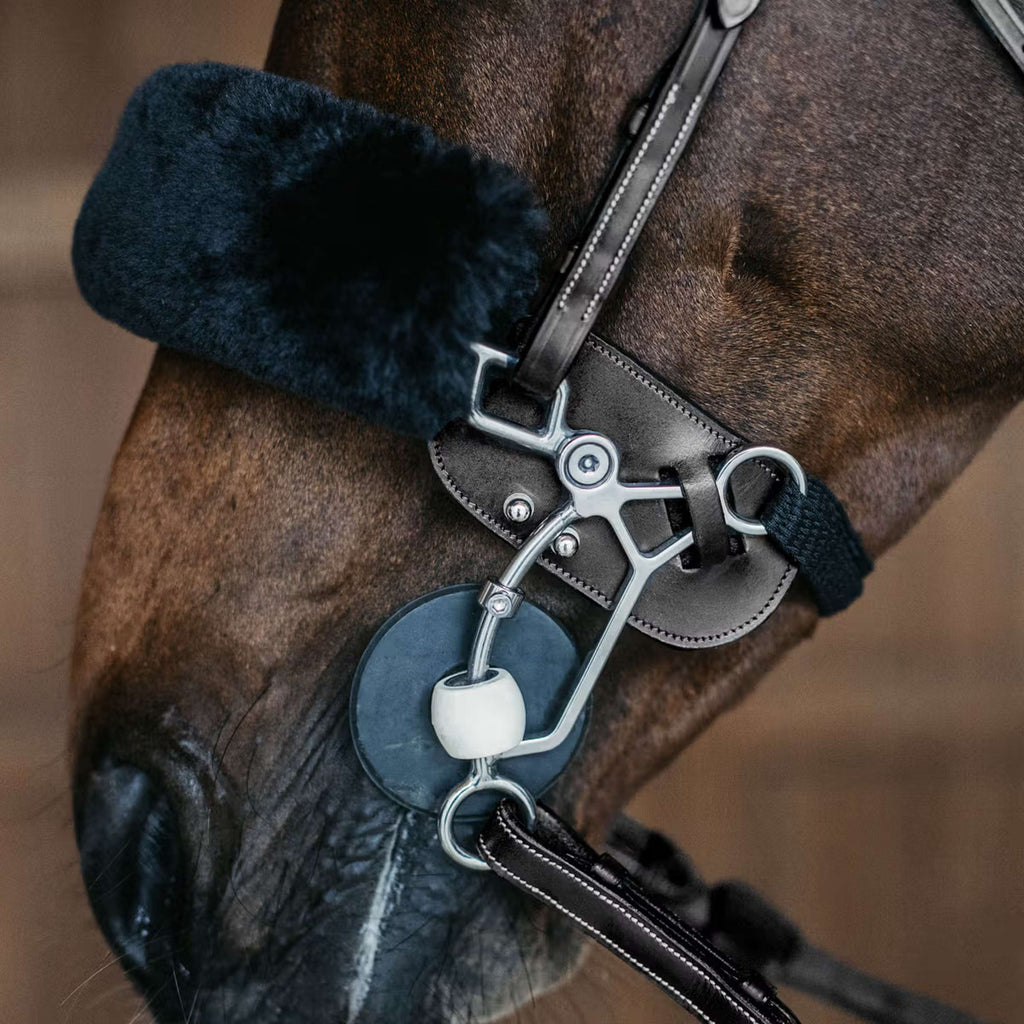 Dyon Hackamore Protection Black