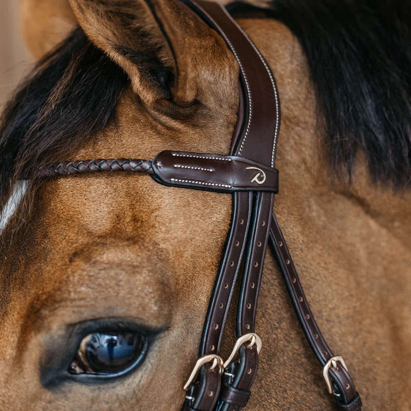 Dyon Browband Braided Brown