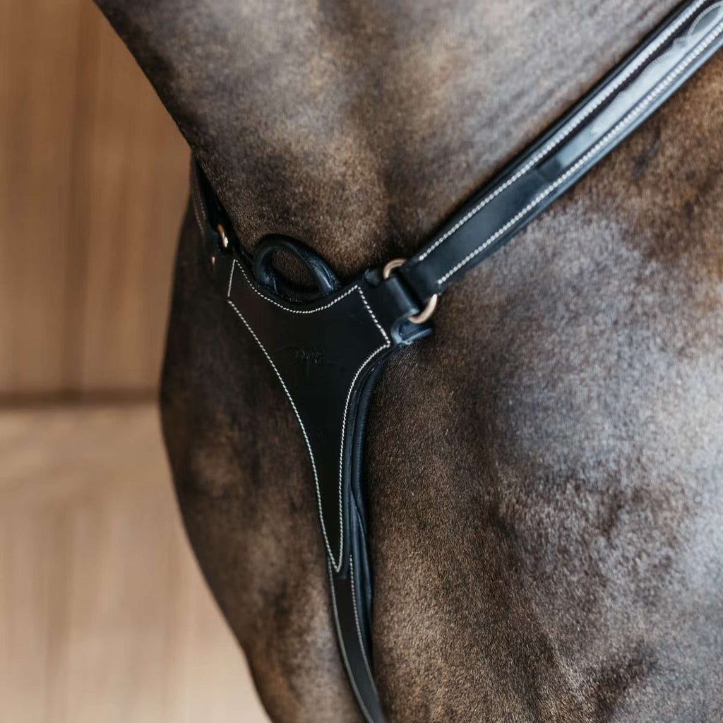 Dyon Chest Buckle 5 points Elastic Black