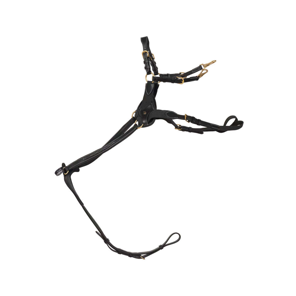 Dyon Chest Buckle 5 points Elastic Black