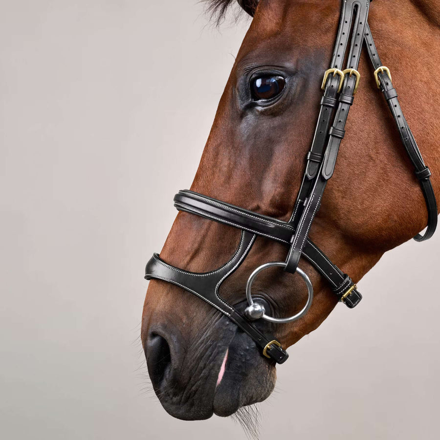 Dyon Bridle Double Noseband Black