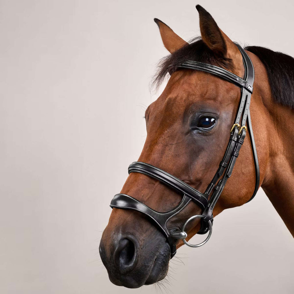 Dyon Bridle Double Noseband Black