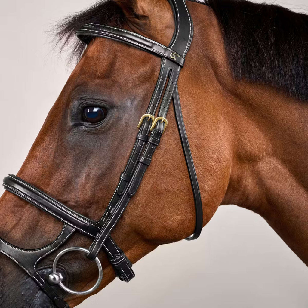 Dyon Bridle Double Noseband Black