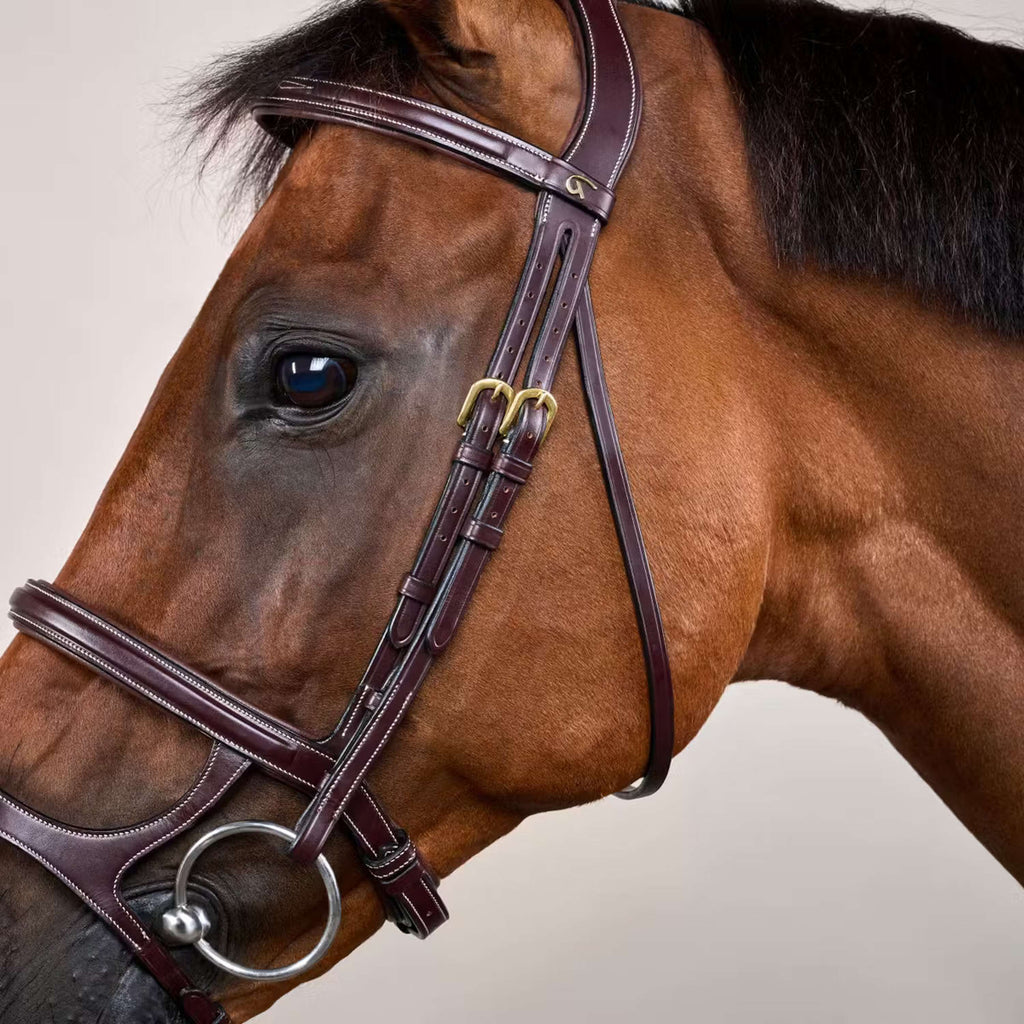 Dyon Bridle Double Noseband Brown
