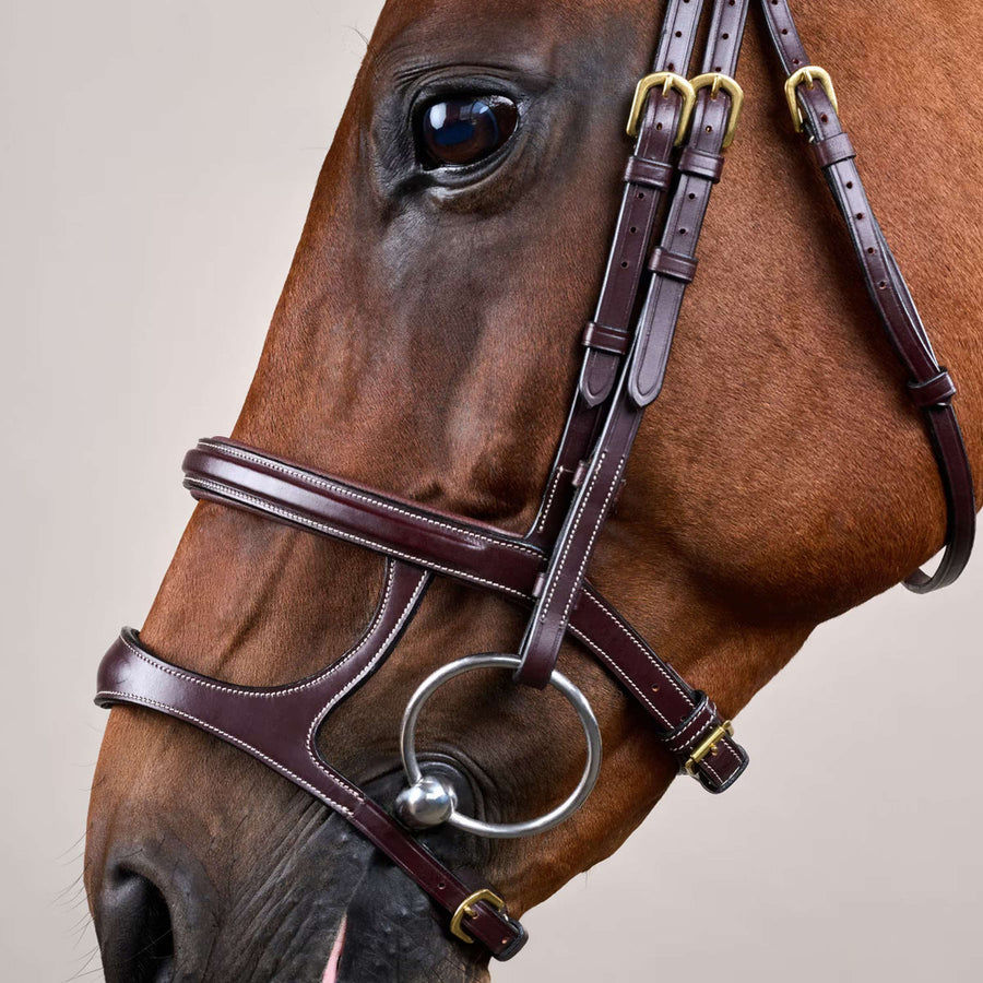 Dyon Bridle Double Noseband Brown