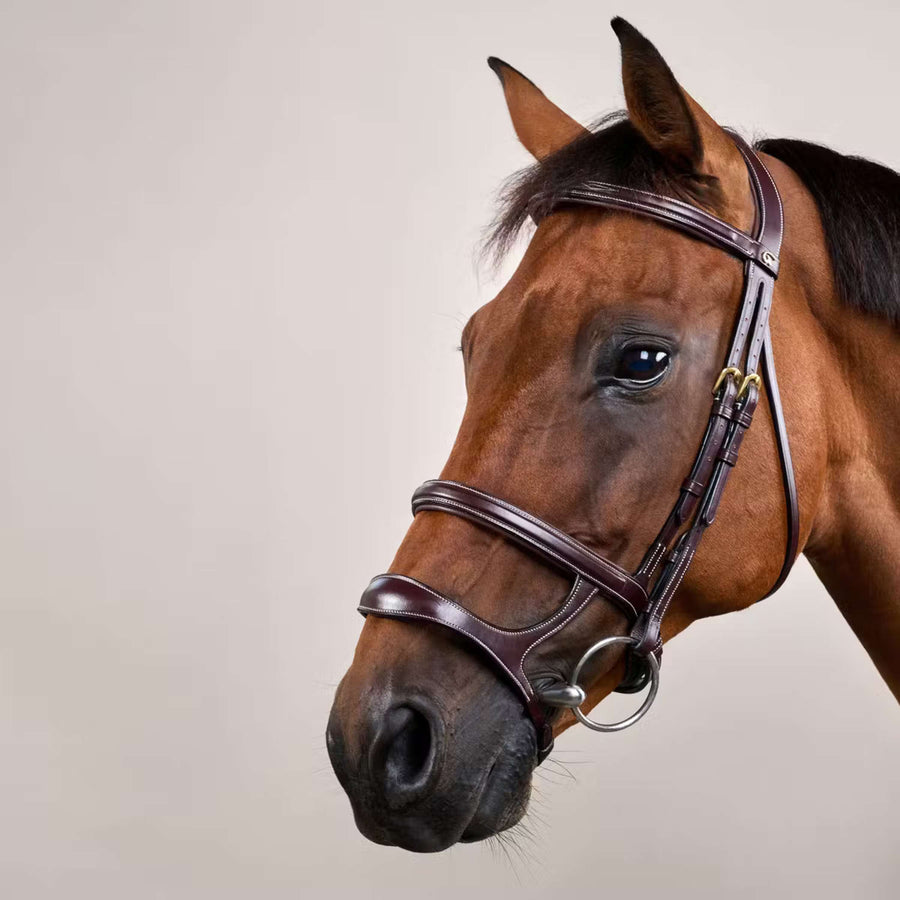Dyon Bridle Double Noseband Brown