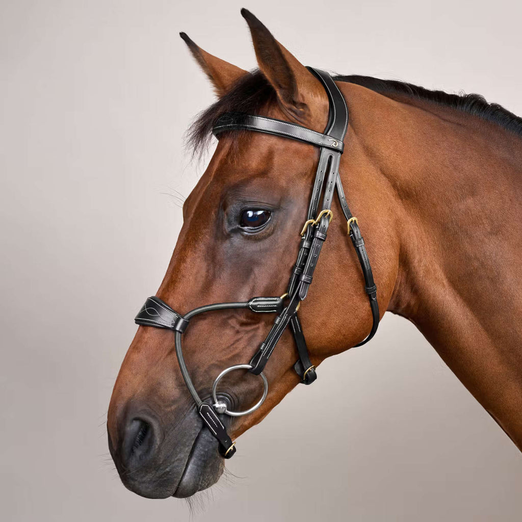 Dyon Bridle Elastic Hybrid Black