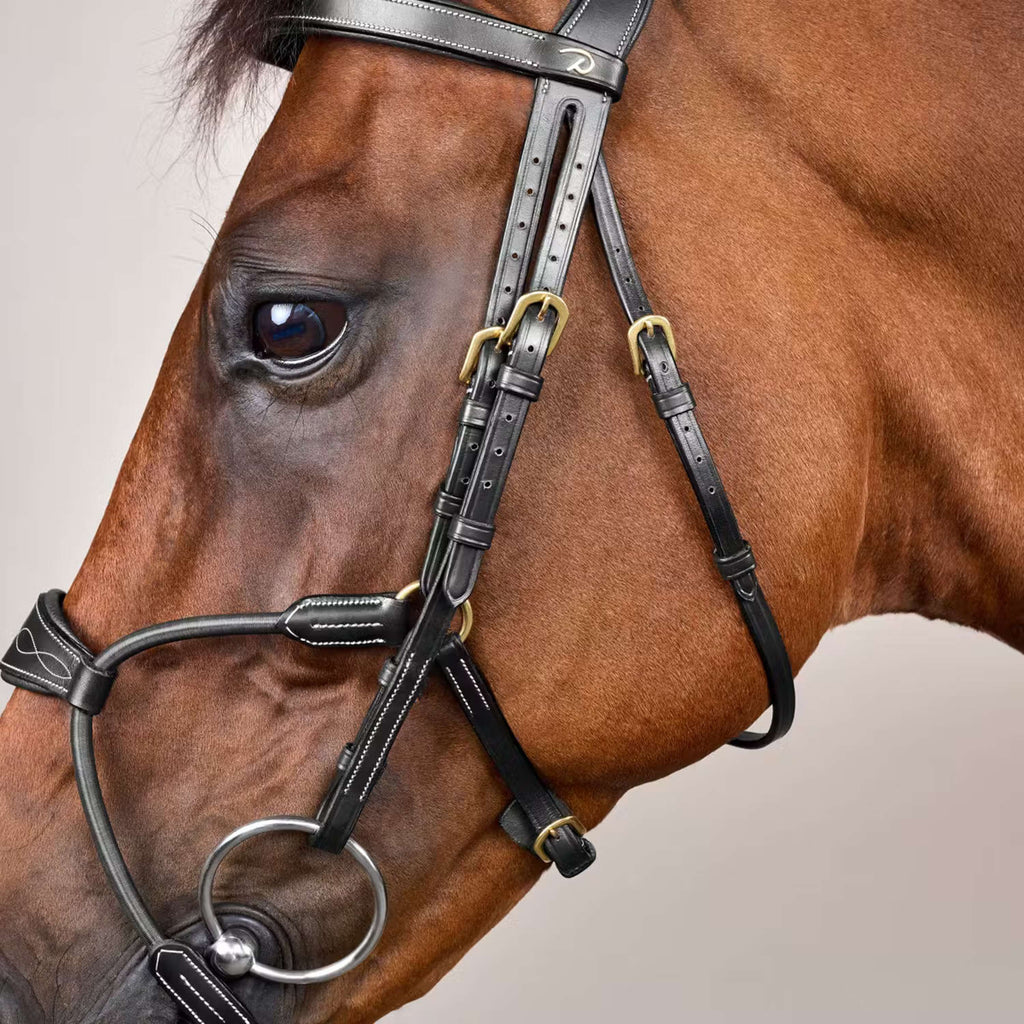 Dyon Bridle Elastic Hybrid Black