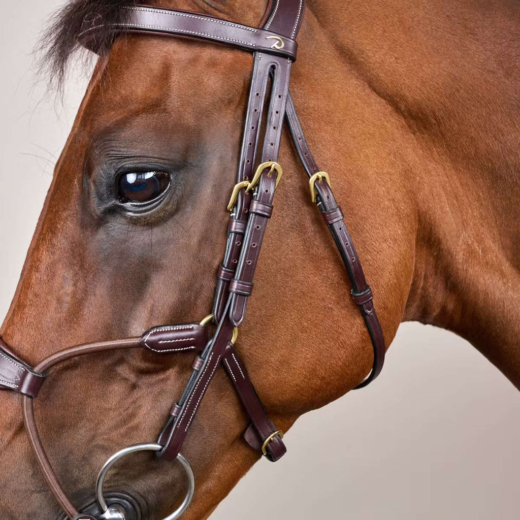 Dyon Bridle Elastic Hybrid Brown