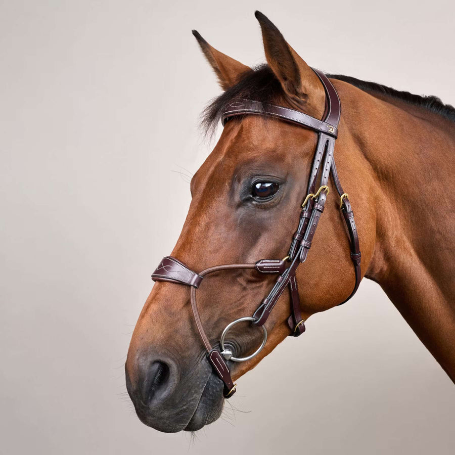 Dyon Bridle Elastic Hybrid Brown