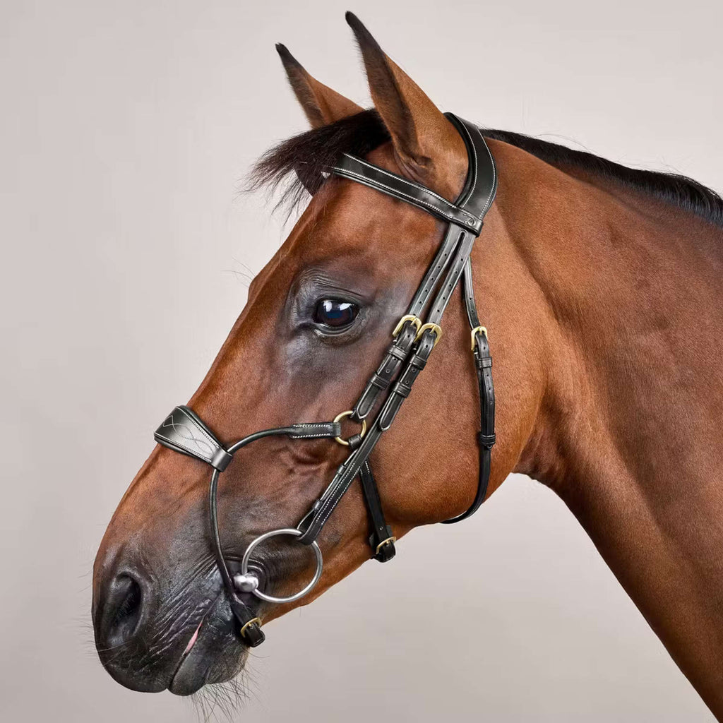 Dyon Bridle Hybrid Black