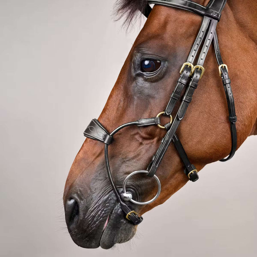 Dyon Bridle Hybrid Black