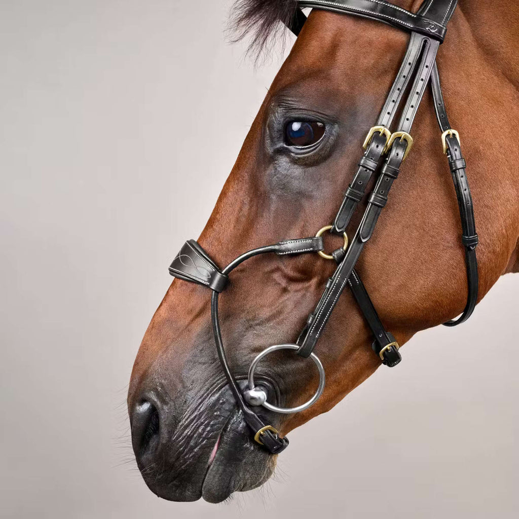 Dyon Bridle Hybrid Black