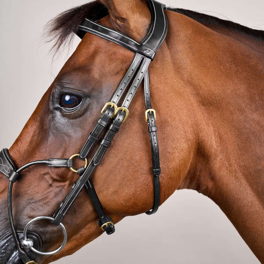 Dyon Bridle Hybrid Black