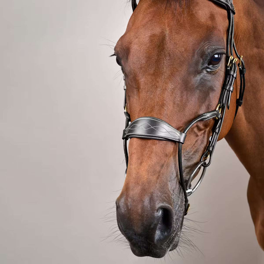 Dyon Bridle Hybrid Black