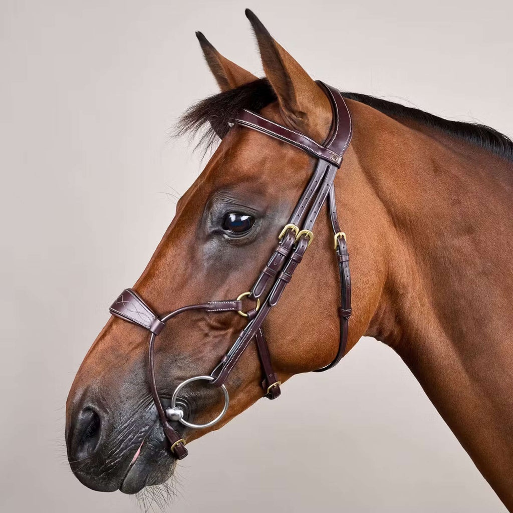 Dyon Bridle Hybrid Brown