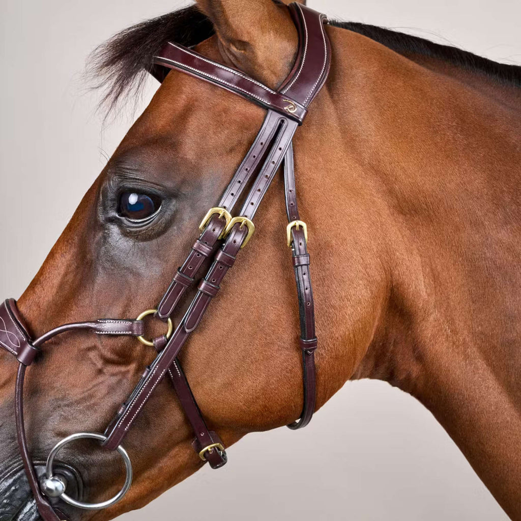 Dyon Bridle Hybrid Brown