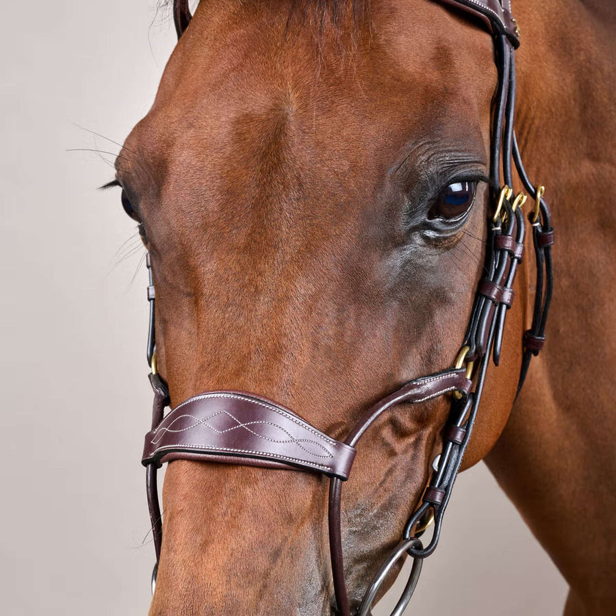 Dyon Bridle Hybrid Brown