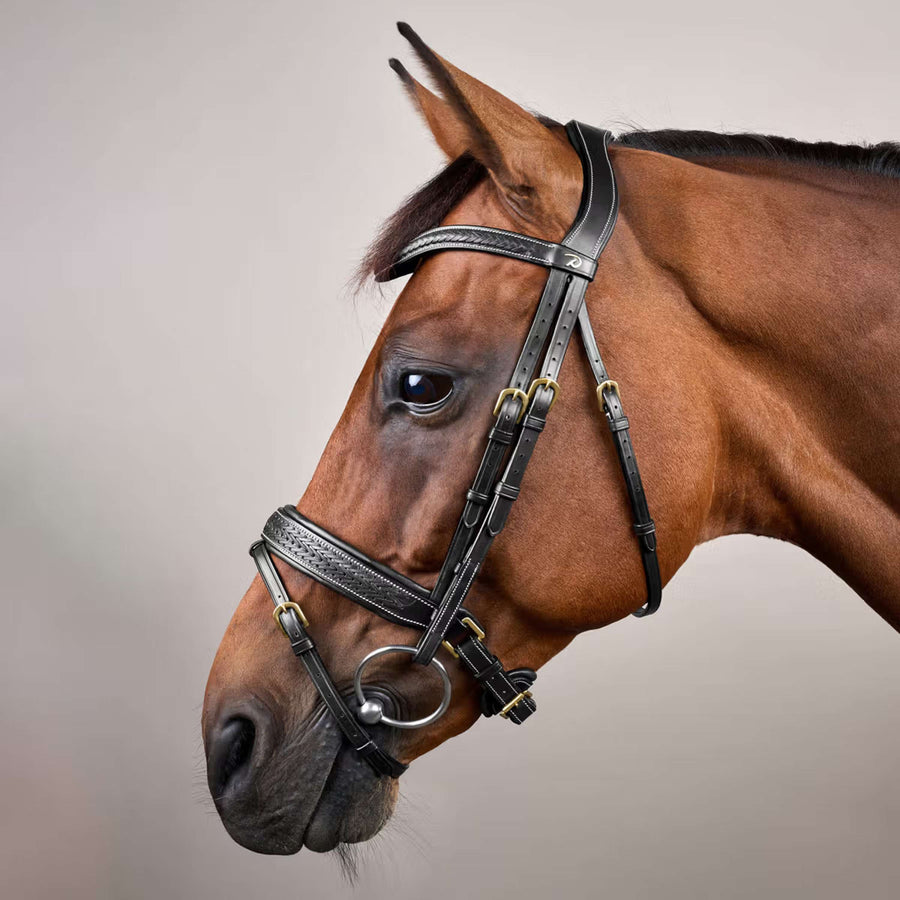 Dyon Bridle Pull-Back Woven Black