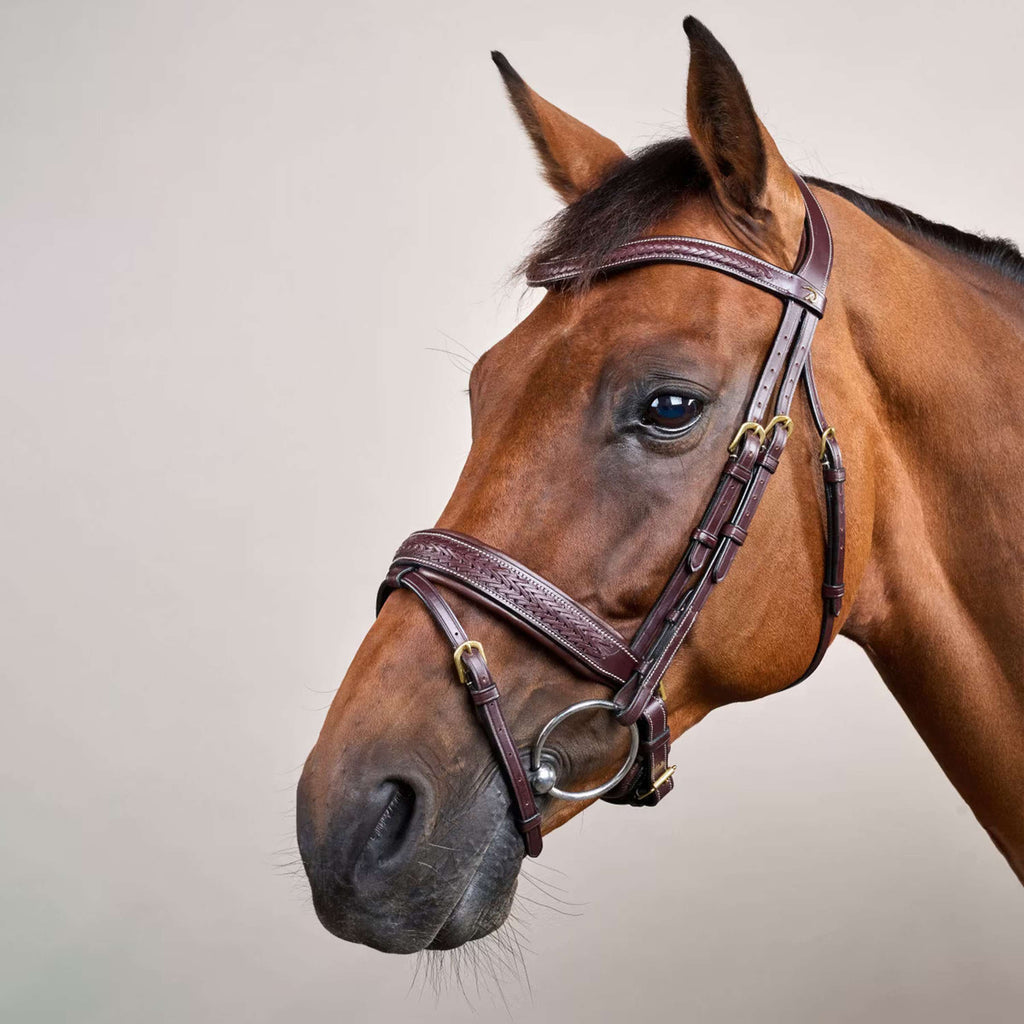 Dyon Bridle Pull-Back Woven Brown