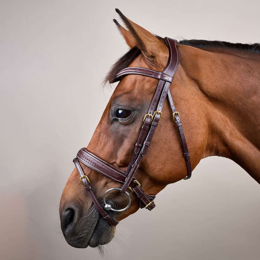 Dyon Bridle Pull-Back Woven Brown