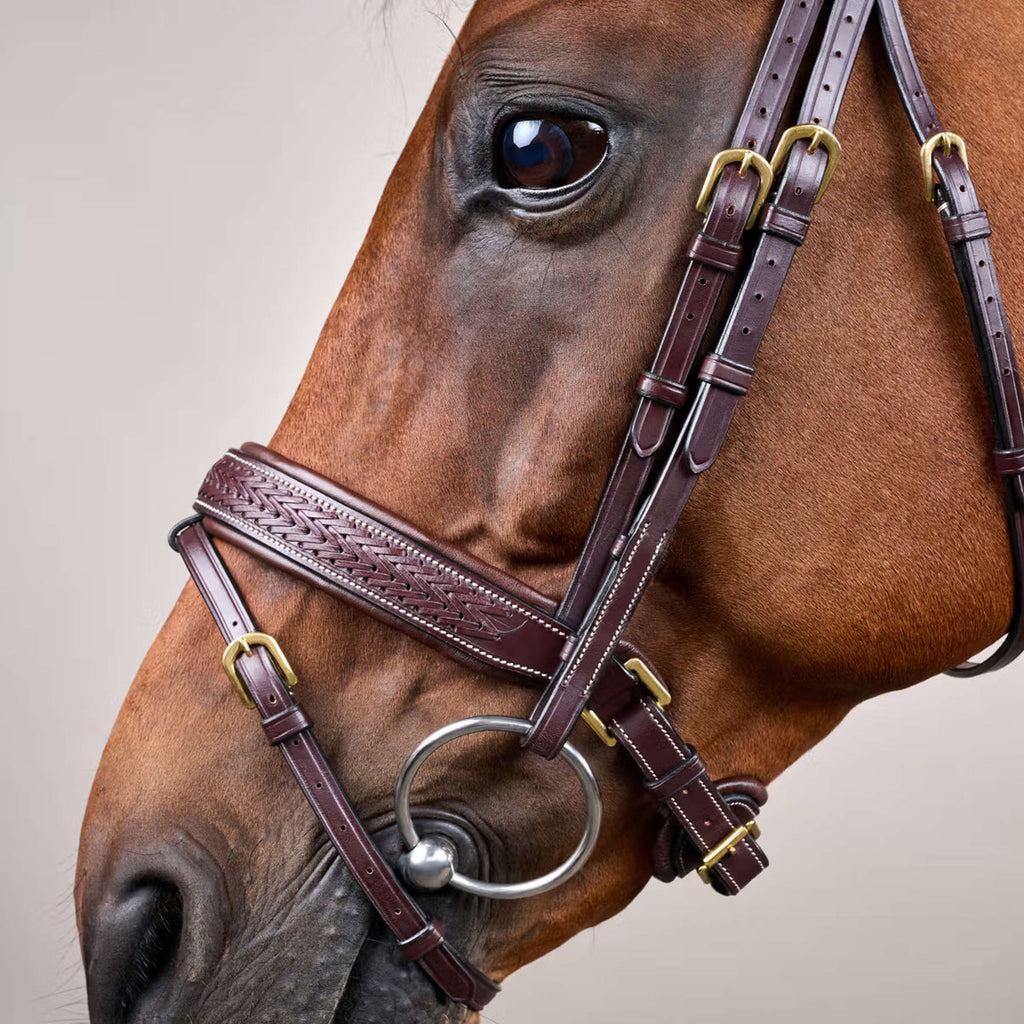 Dyon Bridle Pull-Back Woven Brown