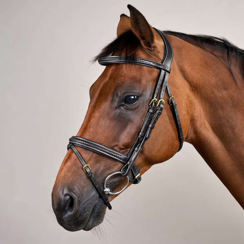 Dyon Bridle Woven Black