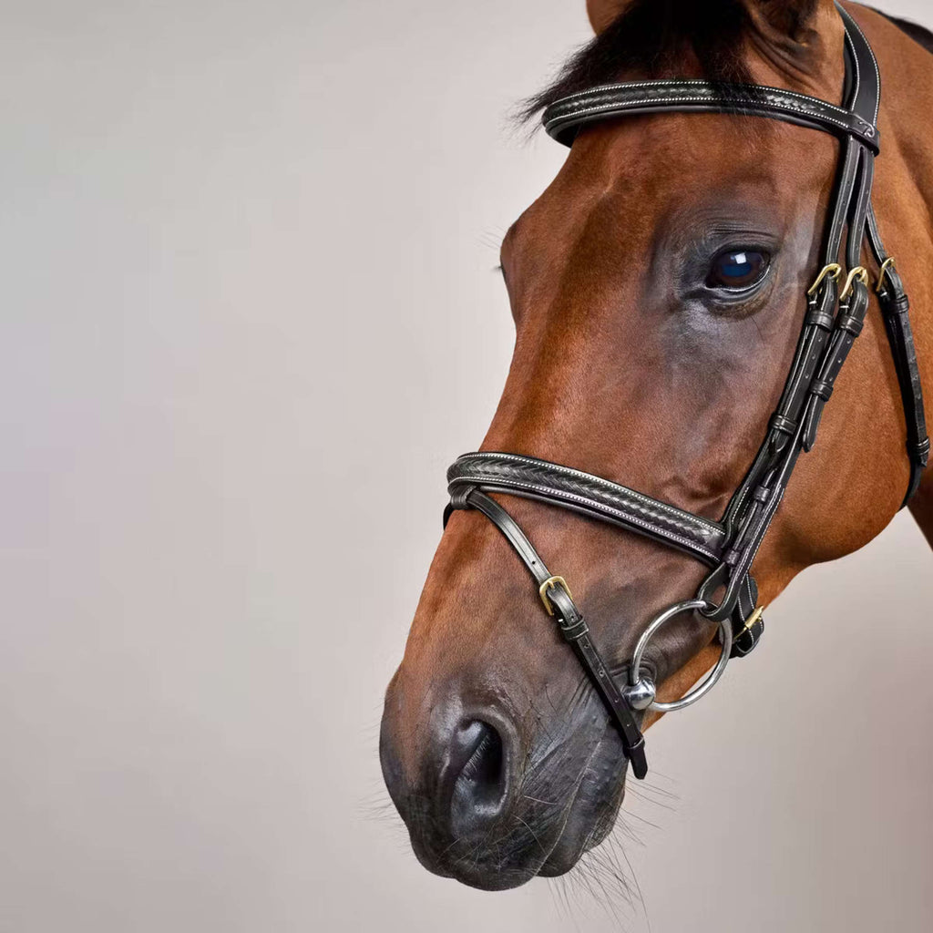 Dyon Bridle Woven Black