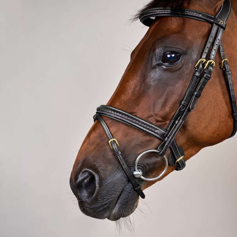 Dyon Bridle Woven Black