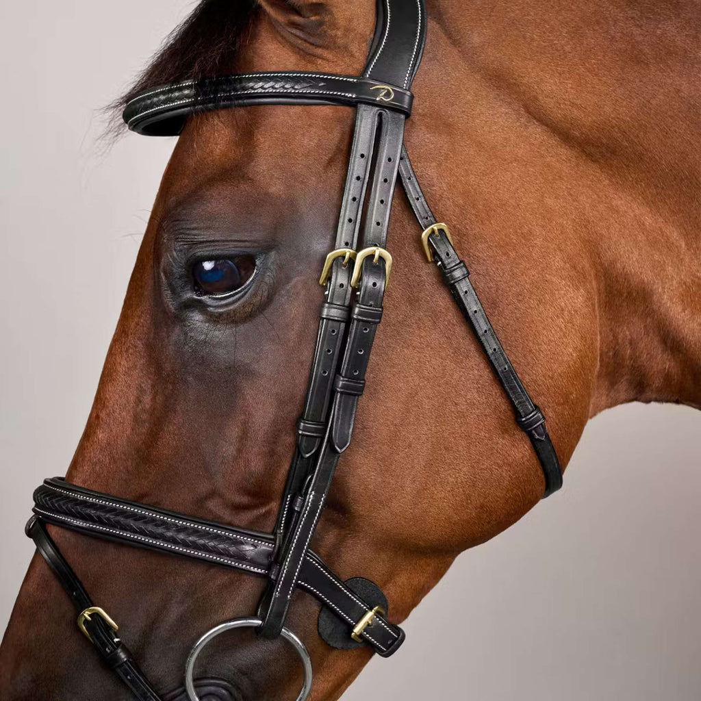 Dyon Bridle Woven Black