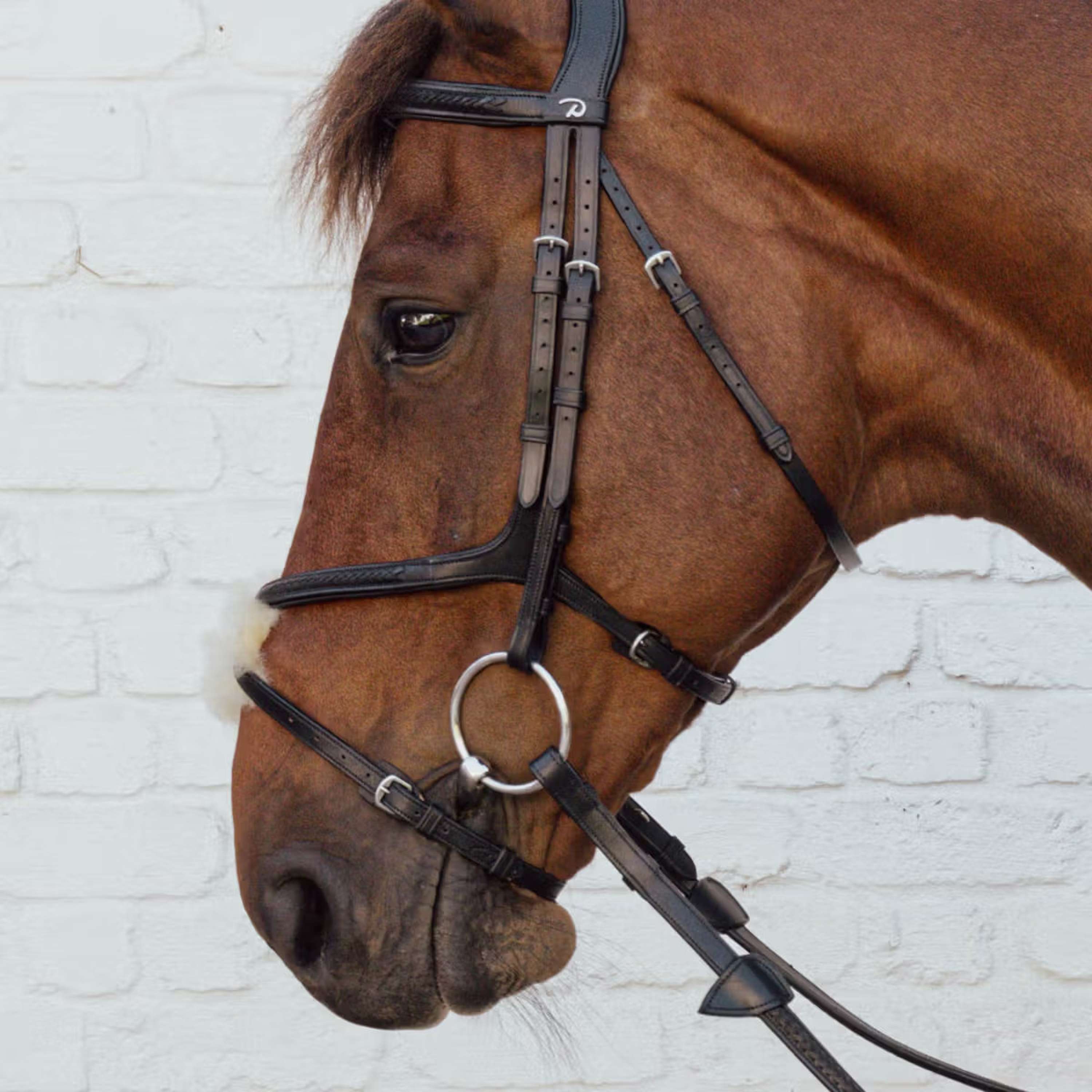 Dyon Mexican Noseband Braided Black