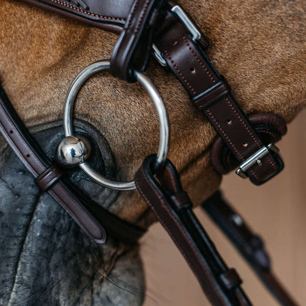Dyon Nose Band Flash Pull-Back Braided Brown
