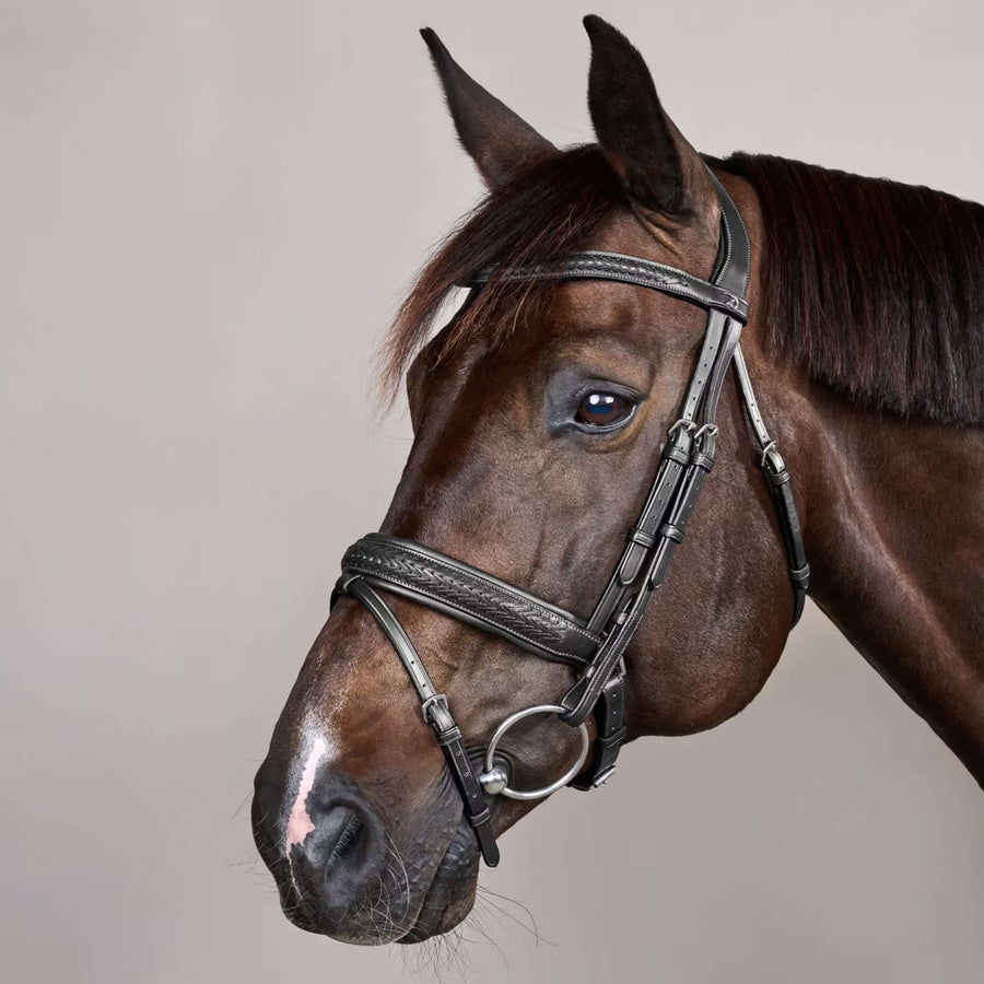Dyon Bridle Flash Pull-Back Braided Black
