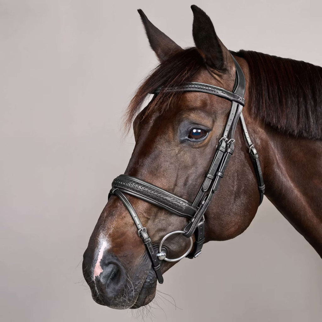 Dyon Bridle Flash Pull-Back Braided Black