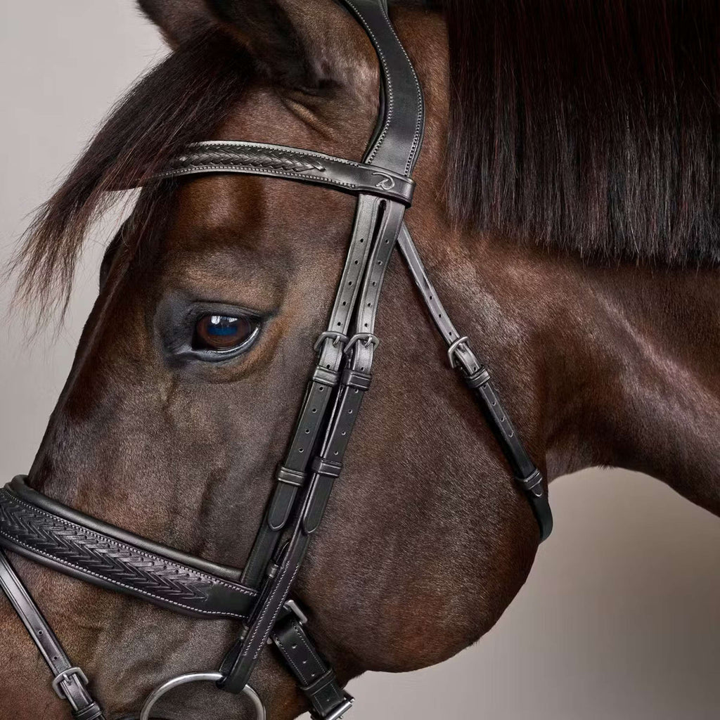 Dyon Bridle Flash Pull-Back Braided Black