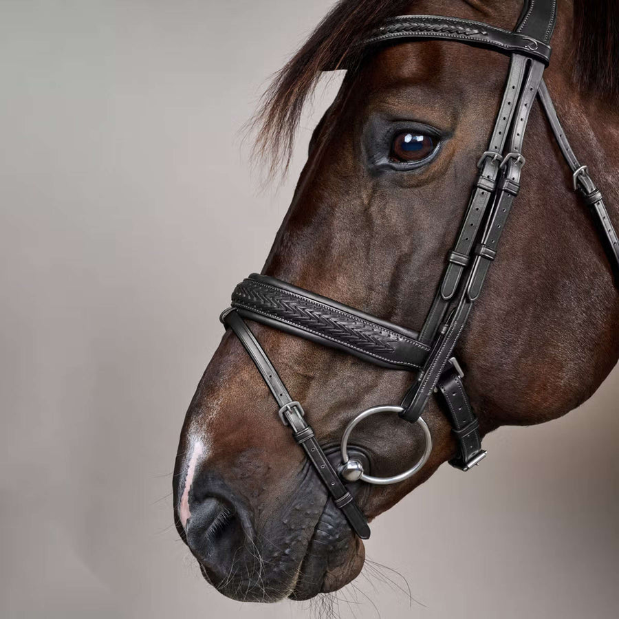 Dyon Bridle Flash Pull-Back Braided Black