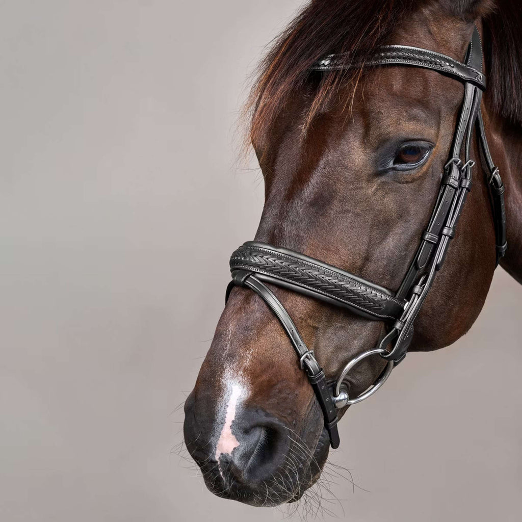 Dyon Bridle Flash Pull-Back Braided Black