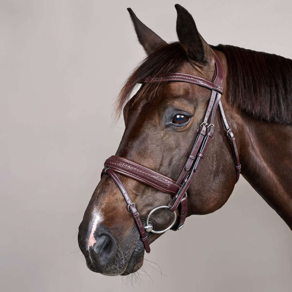 Dyon Bridle Flash Pull-Back Braided Brown