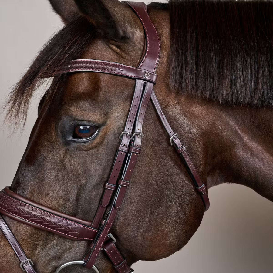 Dyon Bridle Flash Pull-Back Braided Brown