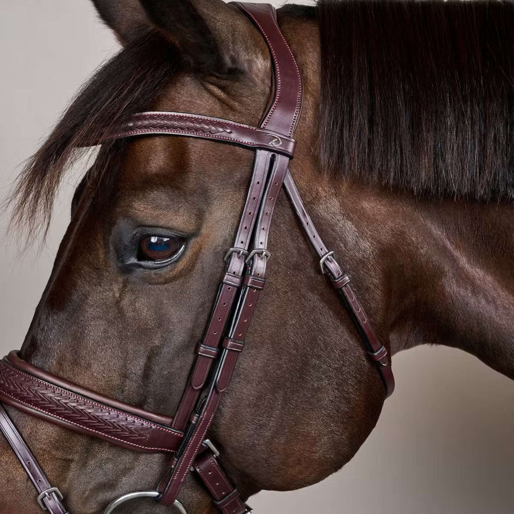 Dyon Bridle Flash Pull-Back Braided Brown