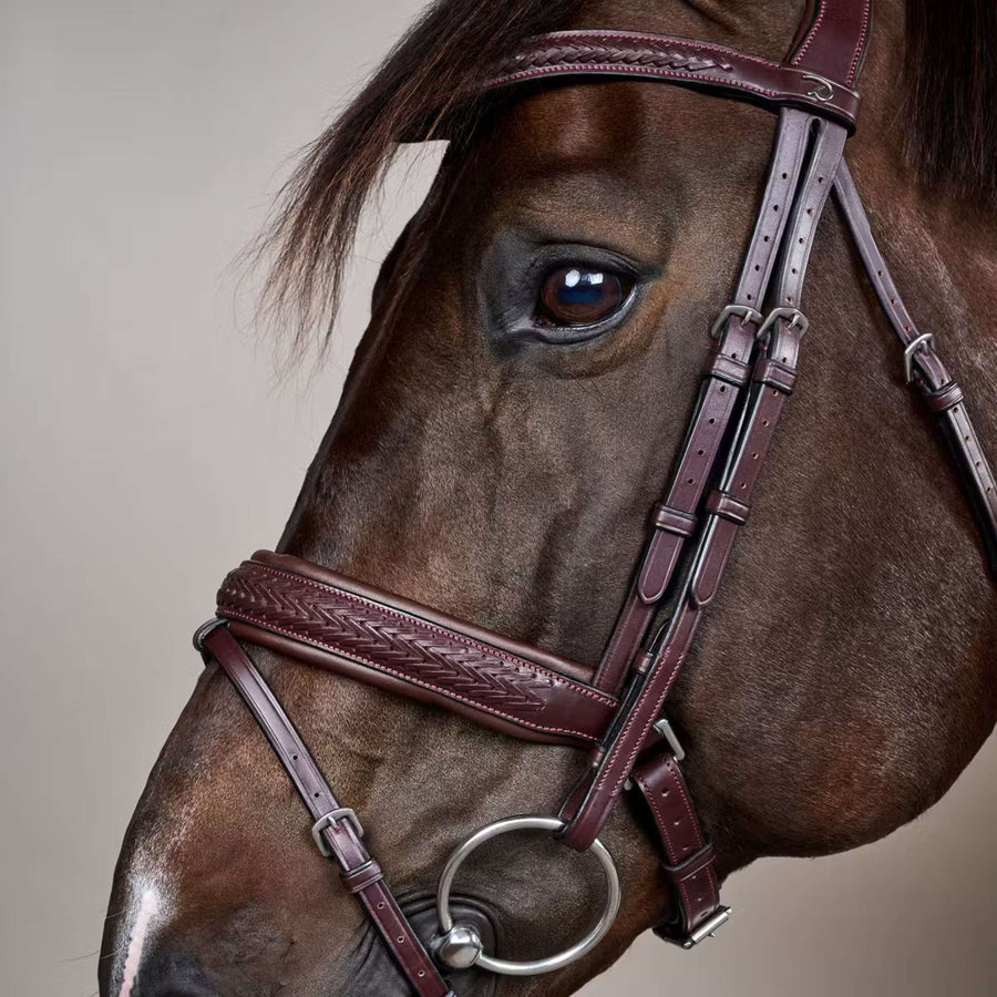 Dyon Bridle Flash Pull-Back Braided Brown