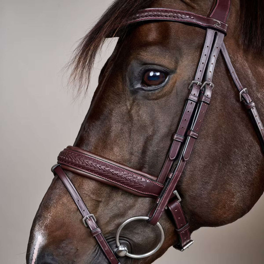 Dyon Bridle Flash Pull-Back Braided Brown