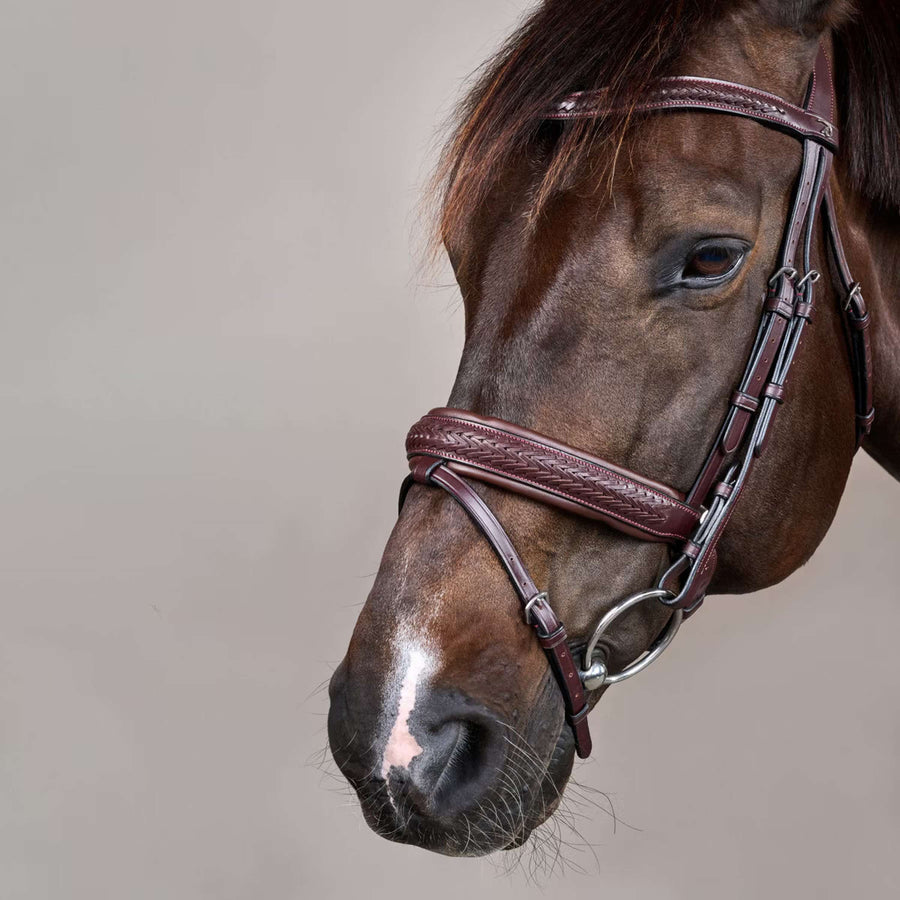 Dyon Bridle Flash Pull-Back Braided Brown